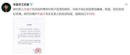 娱乐圈吃瓜作文